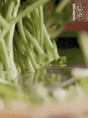 新鮮豌豆苗割下洗凈。